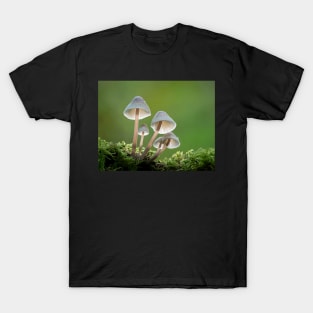 Common Bonnet Mushrooms T-Shirt